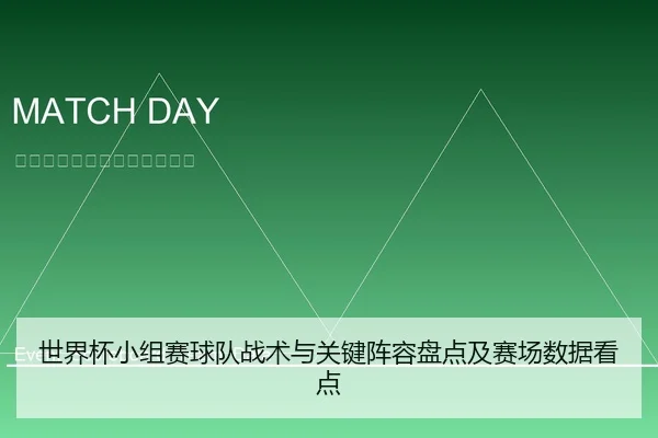 世界杯小组赛球队战术与关键阵容盘点及赛场数据看点